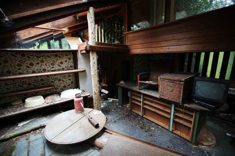 Druid heights y los movimientos contraculturales en EEUU (el lugar