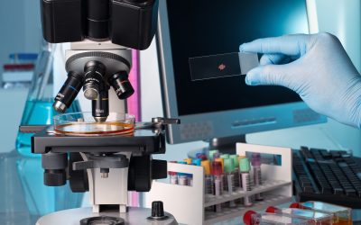 scientist with a slide in hand scientist in workbench laboratory examining a petri dish